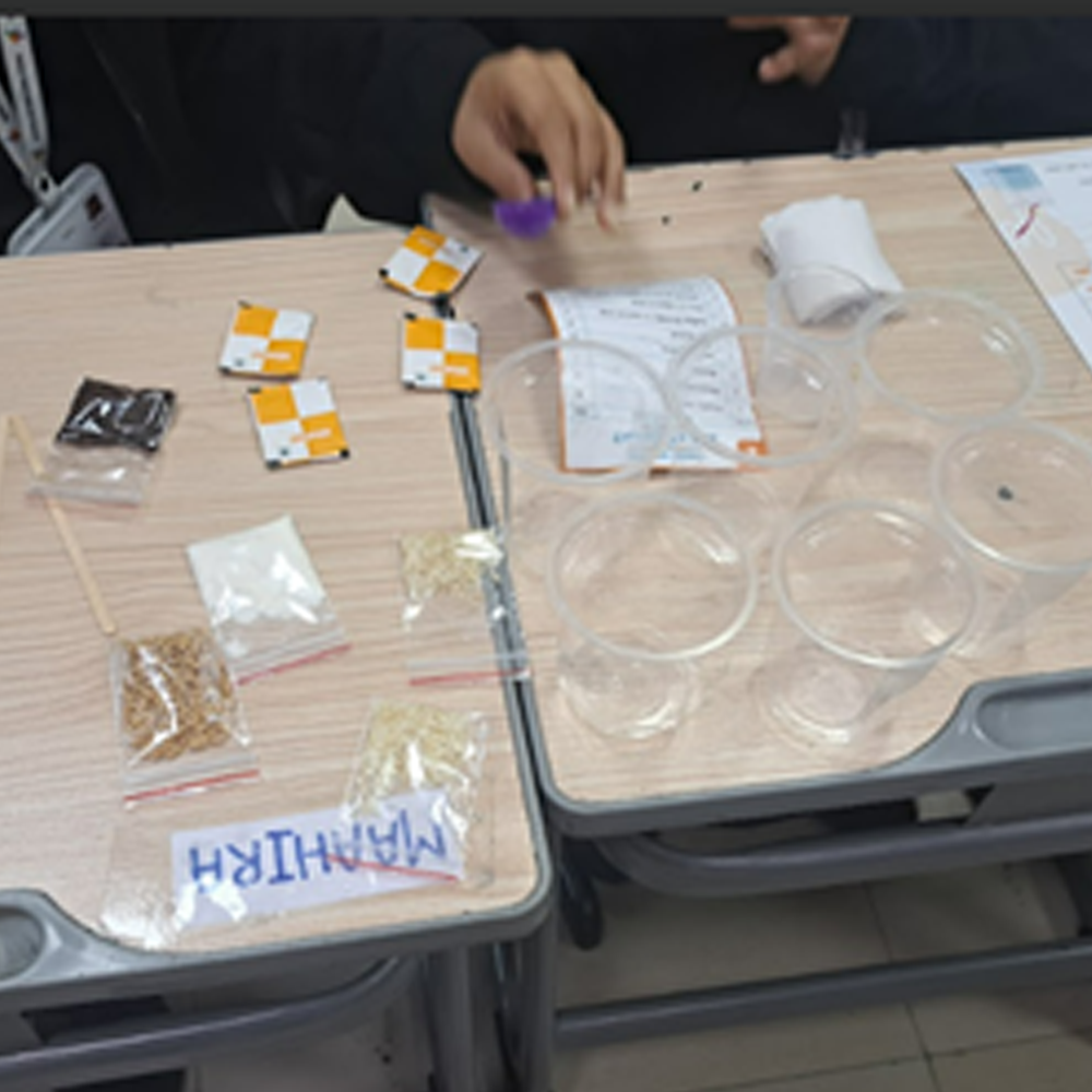 Creative science projects displayed by students