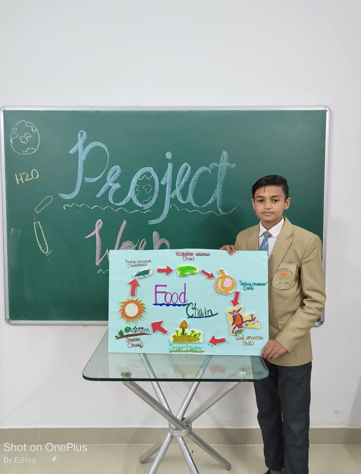   Schools In Airport Road Singarcholi Bhopal